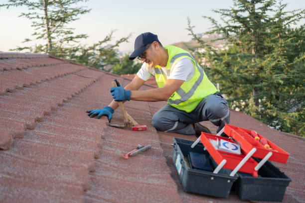Best Commercial Roofing Services  in Taos, MO